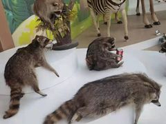 -陕西自然博物馆