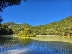 -广州白江湖森林公园