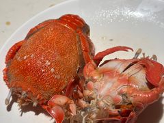 -加餐海鲜自助(宝龙一城店)