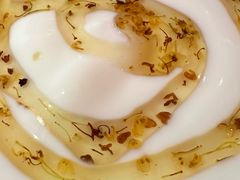 -南锣肥猫·麻辣烤鱼·15年现烤现卖(通州领展店)