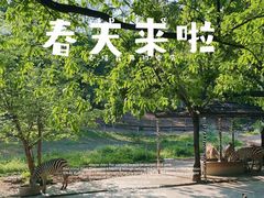 -深圳野生动物园