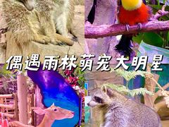 -正佳雨林生态植物园
