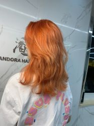 -潘多拉Hairsalon