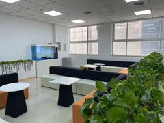 -牛学教育雅思托福PTE·小语种培训(小寨校区)