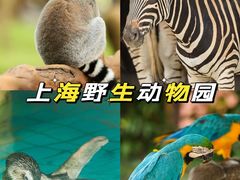 -上海野生动物园