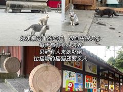 -川江渔府火锅(学府路直营店)