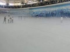 -世界之窗阿尔卑斯冰雪世界