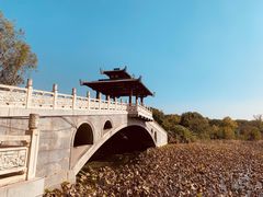 -东湖落雁景区
