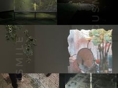 -上海外滩美术馆