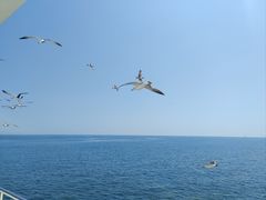 -大连老虎滩海洋公园