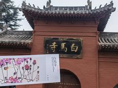 -洛阳白马寺