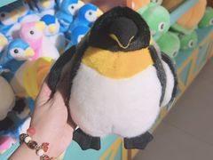 -太平洋海底世界