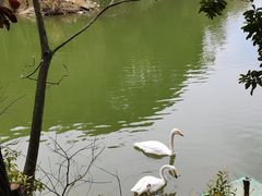 -千岛湖东南湖区