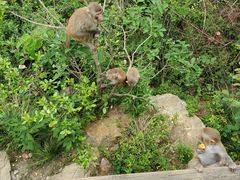 -重庆云阳龙缸景区