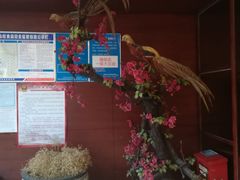 -云龙山庄