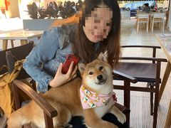 -the rug 飞毯 (朝阳公园店)