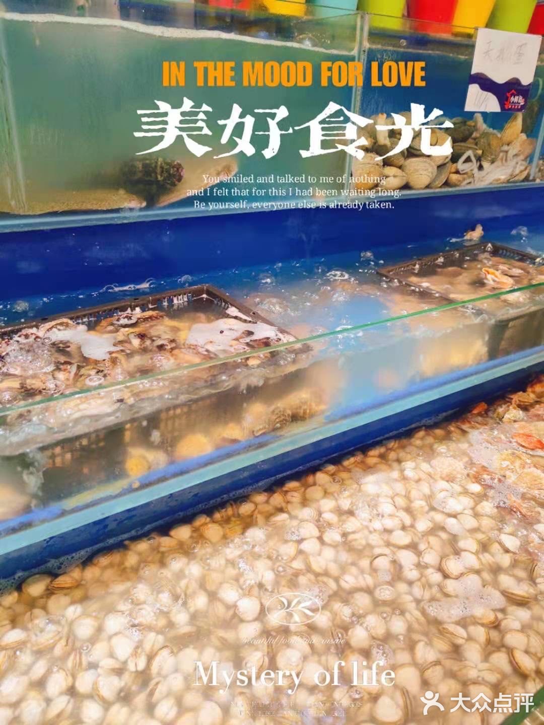 鲜鲜鲜，小鲜岛[加油]