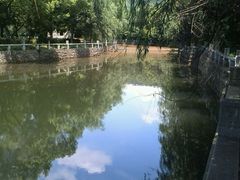 android_upload_pic-旺山景区