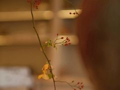 -無用生活空间(北京店)
