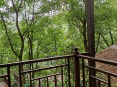 -巴倒烫陆派火锅山庄(南山总店)