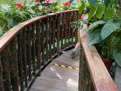 -正佳雨林生态植物园
