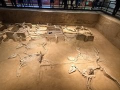 -洛阳周王城天子驾六博物馆