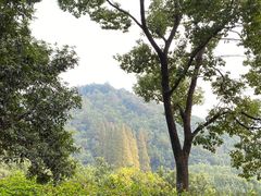 -宁波市保国寺古建筑博物馆