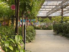 -南宫五洲植物乐园