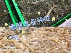 -盒马鲜生(大成店)