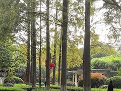 -郑和公园