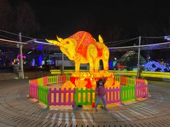 -南宫五洲植物乐园