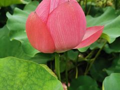 -龚家花园农家乐休闲别墅