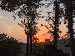 -合肥滨湖国家森林公园