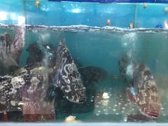 -南海渔家•海鲜•正宗海南菜(海棠湾店)
