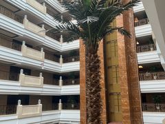 -西安唐隆国际酒店(大雁塔大唐不夜城店)