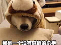 -后宫私房菜(汇客美食娱乐广场店)