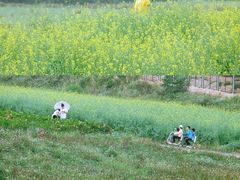 -光明小镇欢乐田园