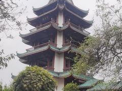 -桂湖森林公园