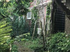 顾城旧居&nbsp;血案发地-怀希基岛