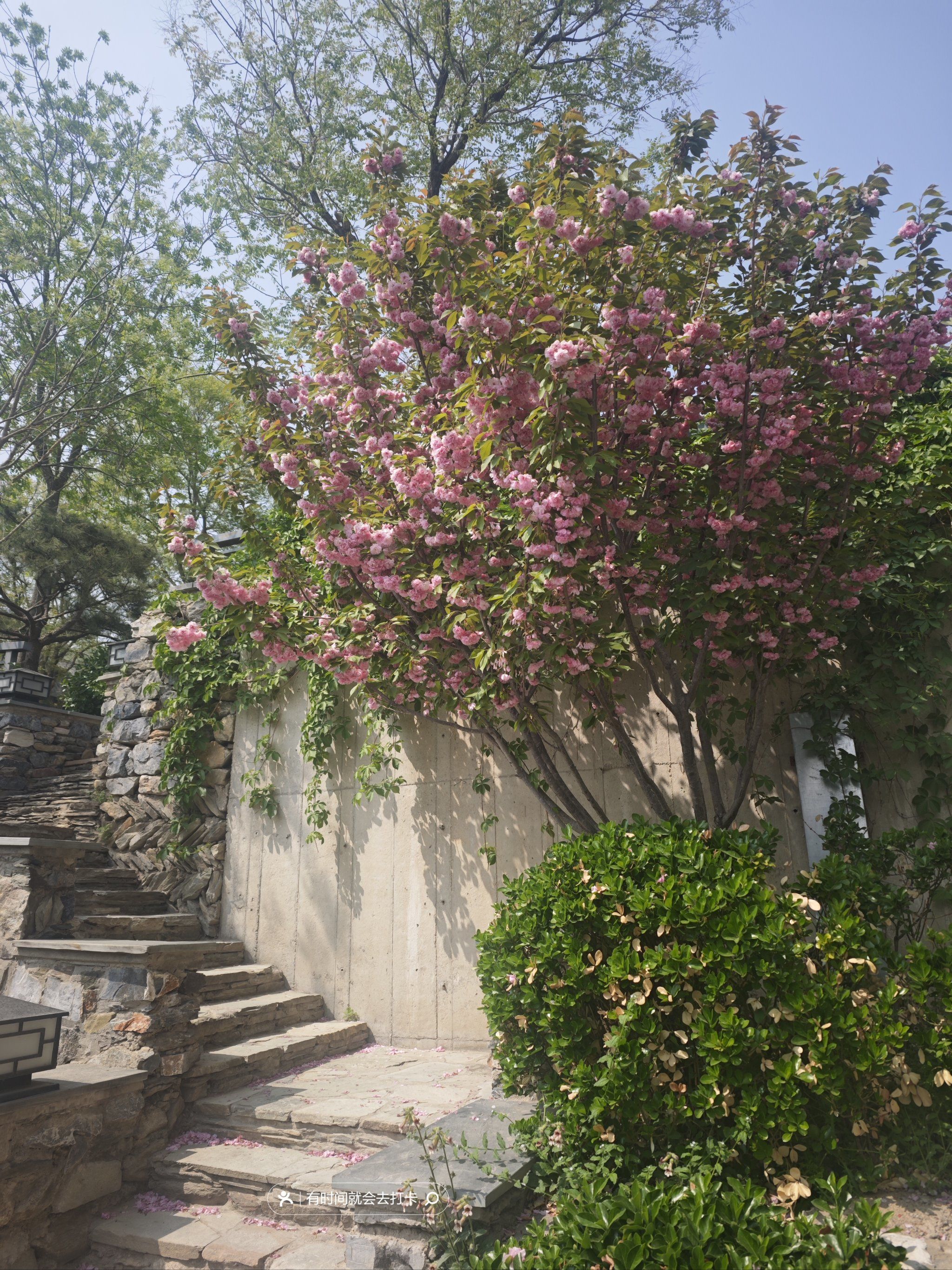 紫旸山庄