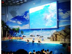 海洋剧场-福州罗源湾海洋世界旅游区