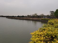-海珠湖公园