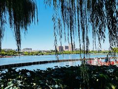 -济南大明湖景区