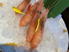 -油花·和牛寿喜烧·放题自助(市南银座店)