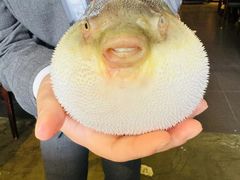 -永安鱼庄·镇江菜(东吴路店)