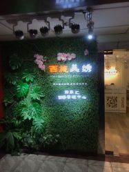 -西施无菌半永久纹绣眉眼影唇轻增发纹发际线