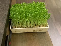 -湊湊火锅·茶憩(打浦桥日月光店)