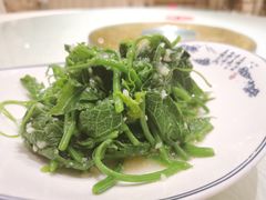 -樽宴酒楼·地道川菜·品质宴请