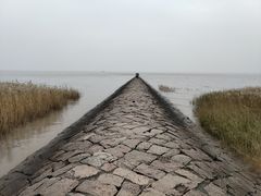 -上海崇明金茂凯悦酒店