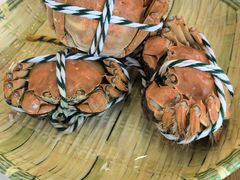 -蟹天蟹地农家菜·阳澄湖大闸蟹(浅水湾店)